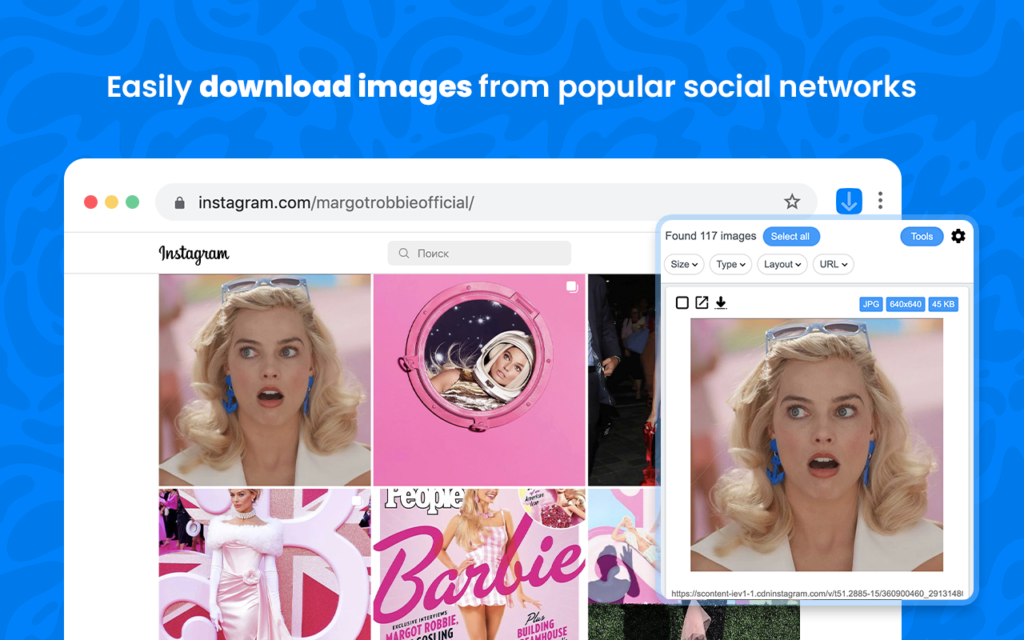 KeepVid Image Downloader